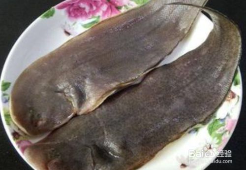 龍魚是海魚還是淡水魚（淡水龍魚與海水龍魚的區別）