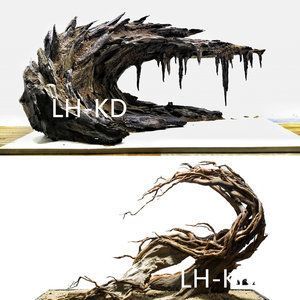 龍魚缸放橄欖葉有什么用：橄欖葉在魚缸中的使用