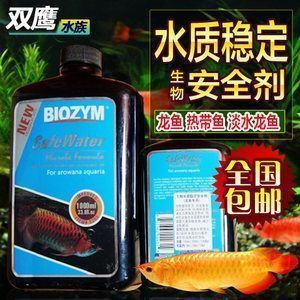 龍魚用藥注意事項和禁忌，龍魚用藥的注意事項及禁忌