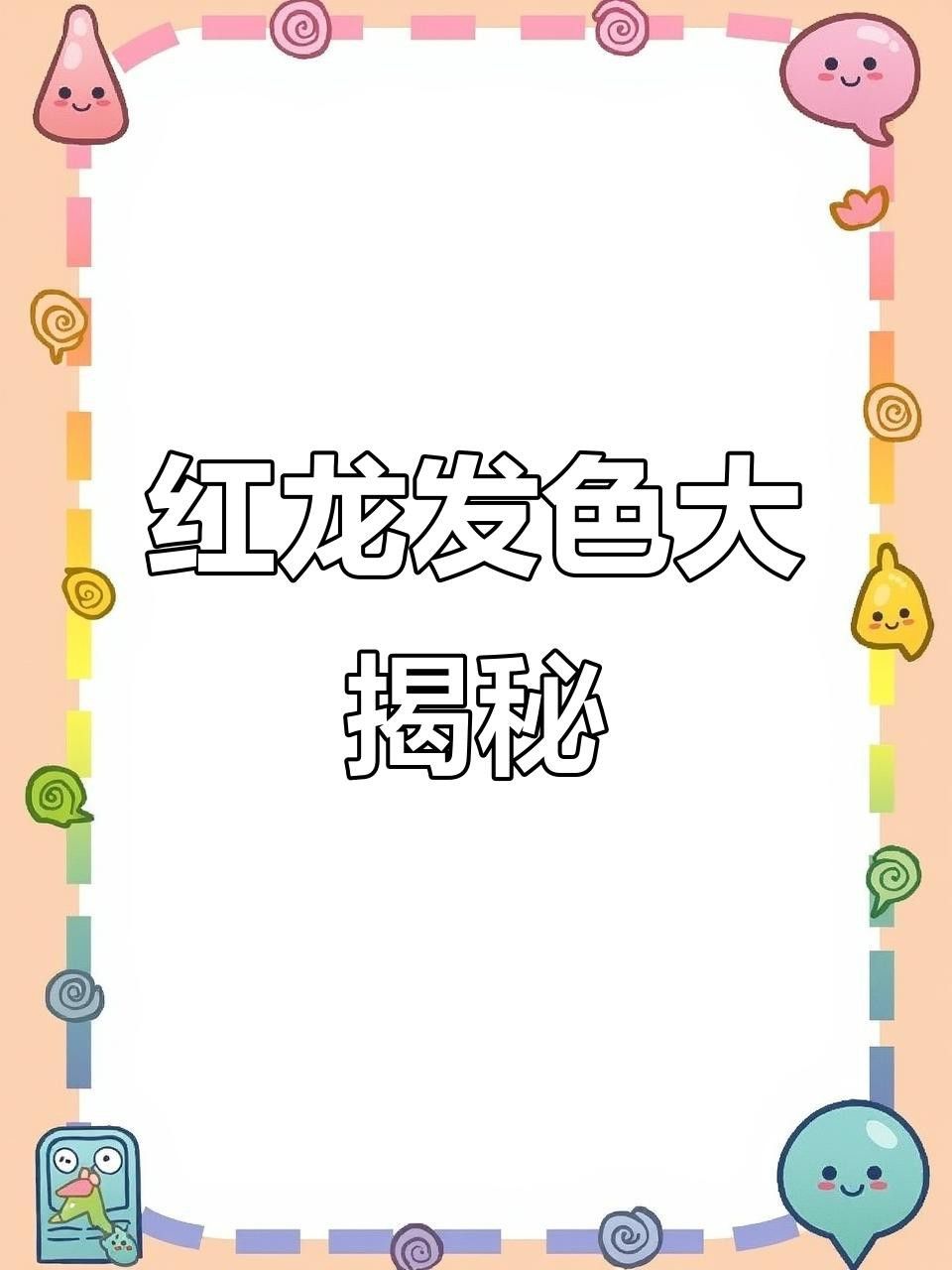 如何飼養(yǎng)辣椒紅龍使其發(fā)色更快