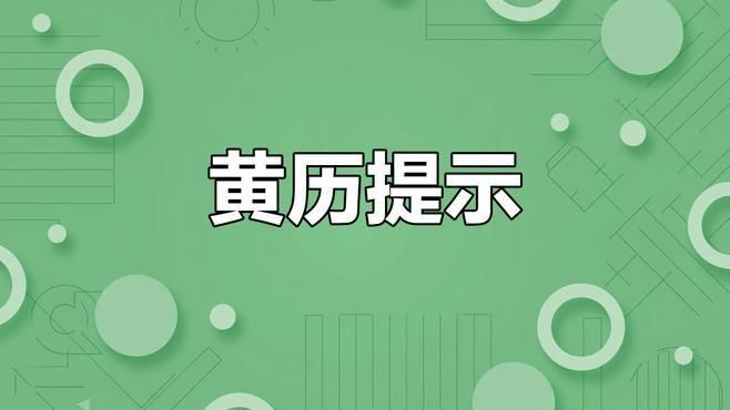 金龍排五長條今天
