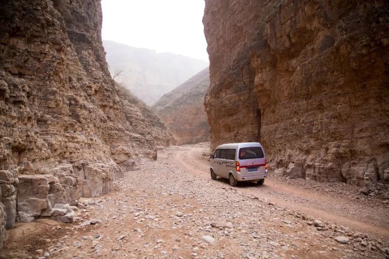 金龍魚在鄉村振興中有哪些具體舉措？