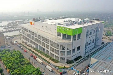 金龍魚在鄉村振興中有哪些具體舉措？