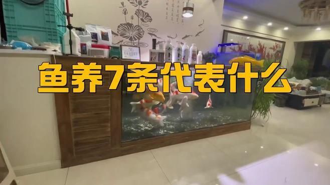 如何在魚缸中科學飼養七條魚？