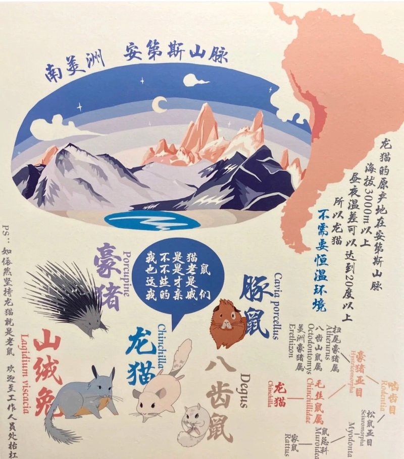 如何評估龍貓的智力進步？