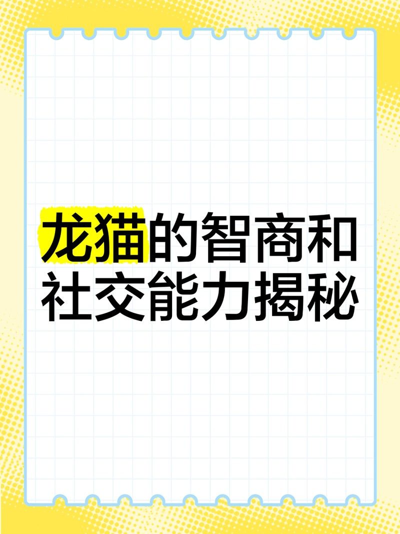 如何評估龍貓的智力進步？