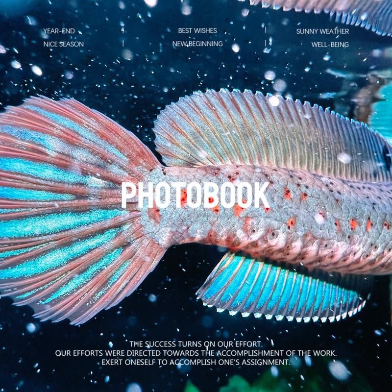 紅寶石雷龍魚圖片大全大圖欣賞