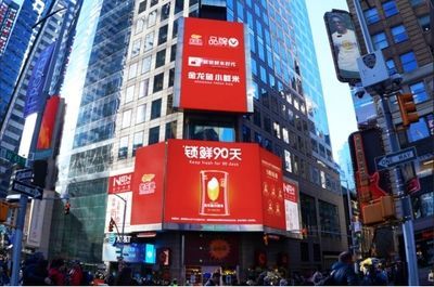 紅色金龍魚(yú)寓意什么意思和象征（紅色金龍魚(yú)的寓意和象征）