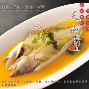 哪里可以買到正宗的雪龍魚？