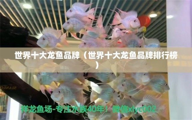 龍魚專用藥什么品牌好用：龍魚專用藥品牌選擇