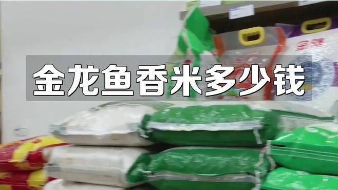 金龍魚泰國價格