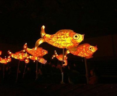 吉印龍魚燈怎么樣：吉印龍魚燈在產品質量上有著不同的評價吉印龍魚燈怎么樣