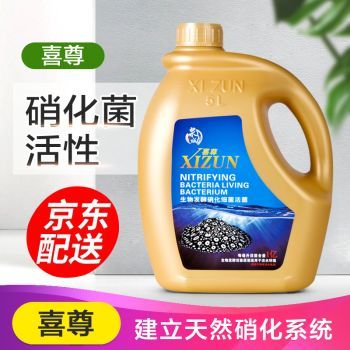 龍魚活化菌：龍魚活化菌使用誤區硝化細菌培養的最佳環境培養的最佳環境