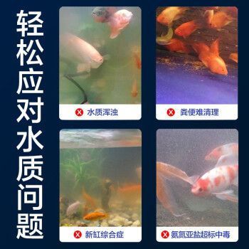 龍魚活化菌：龍魚活化菌使用誤區硝化細菌培養的最佳環境培養的最佳環境