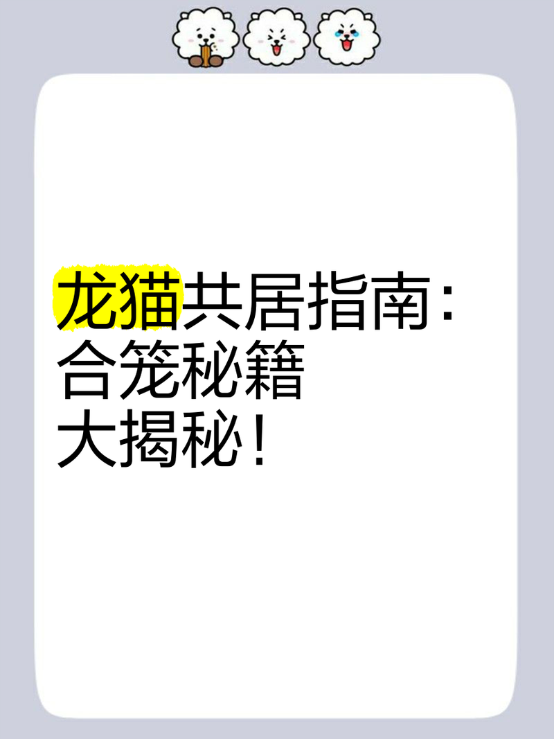 龍貓的最佳伴侶是什么