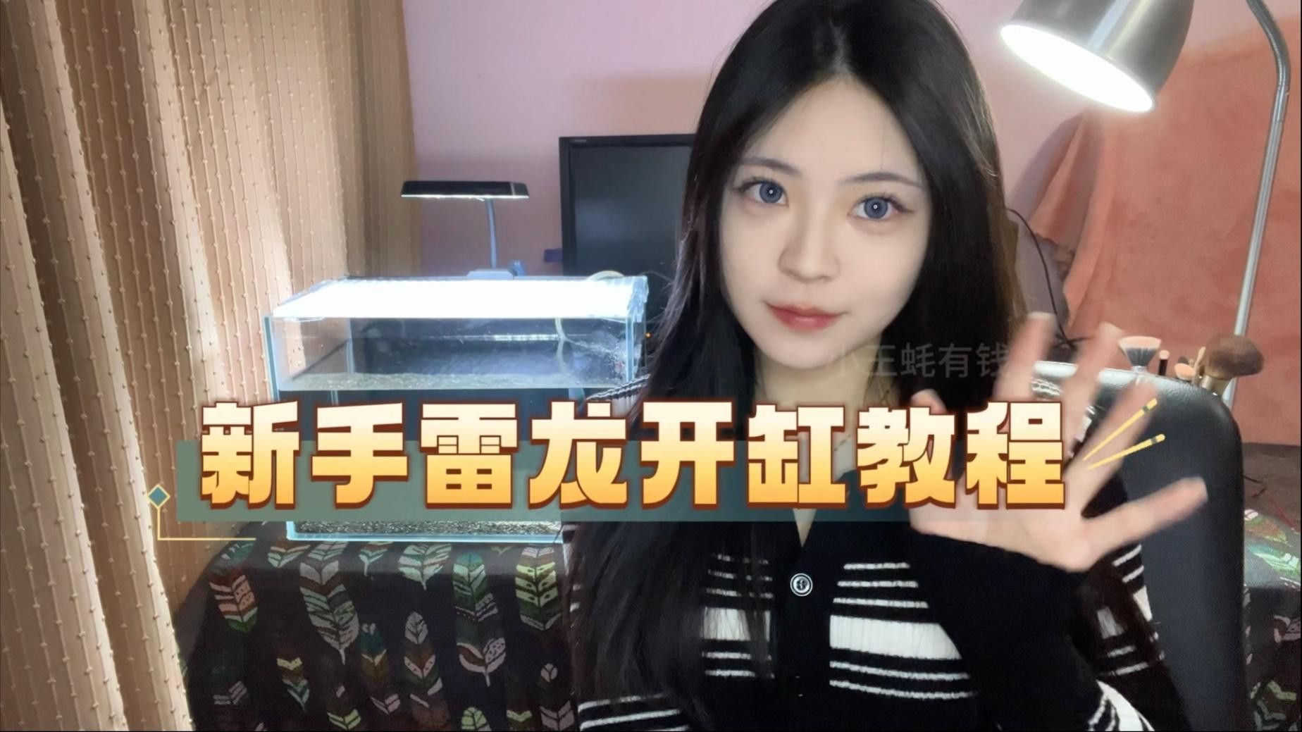 如何飼養雷龍魚？