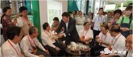 龍魚養殖技術的地域特色：不同地域的龍魚養殖技術在各個地區有著不同的特色