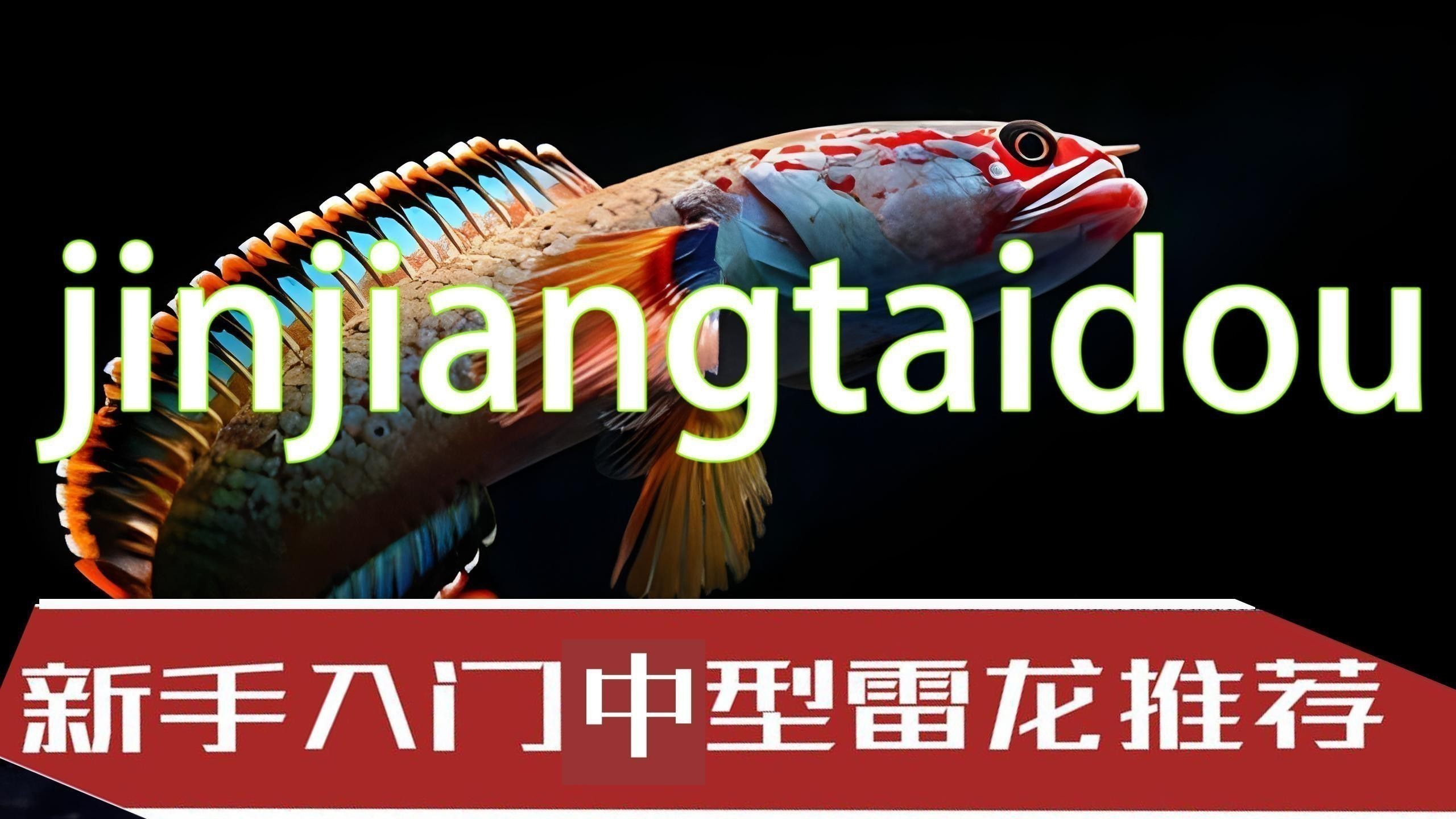 中型雷龍魚有哪些品種？