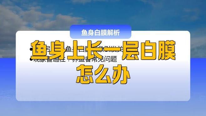 龍魚白膜病如何預防？