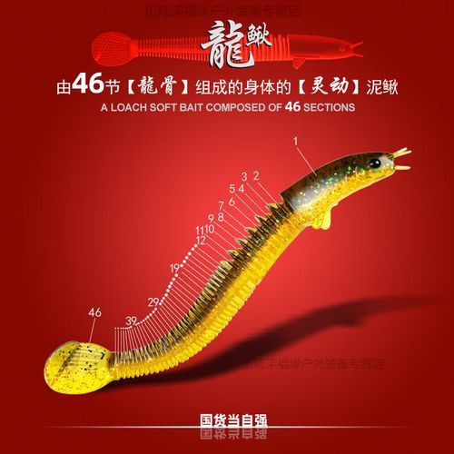 給我一張龍鰍魚品種的圖片