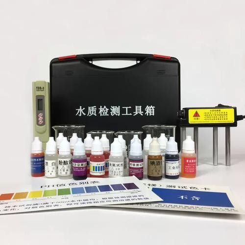 銀龍魚爛嘴怎么辦圖片大全 銀龍魚爛嘴怎么辦圖片大全 龍魚百科 第11張