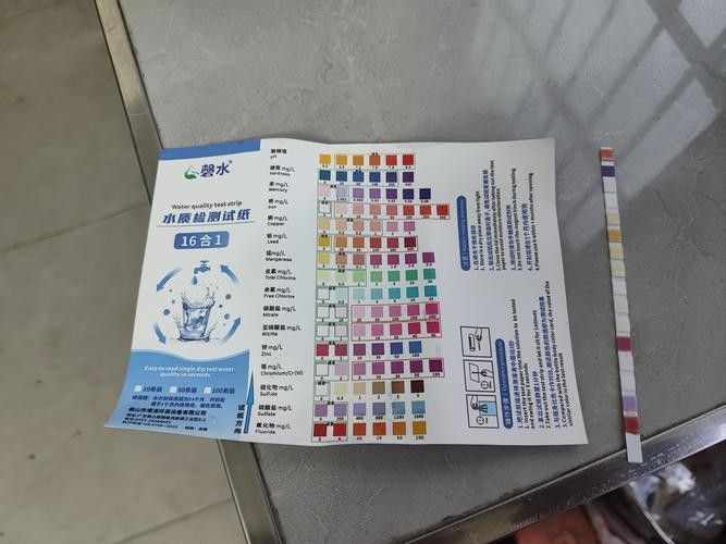 銀龍魚爛嘴怎么辦圖片大全 銀龍魚爛嘴怎么辦圖片大全 龍魚百科 第9張