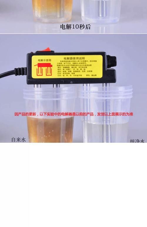 銀龍魚爛嘴怎么辦圖片大全 銀龍魚爛嘴怎么辦圖片大全 龍魚百科 第10張