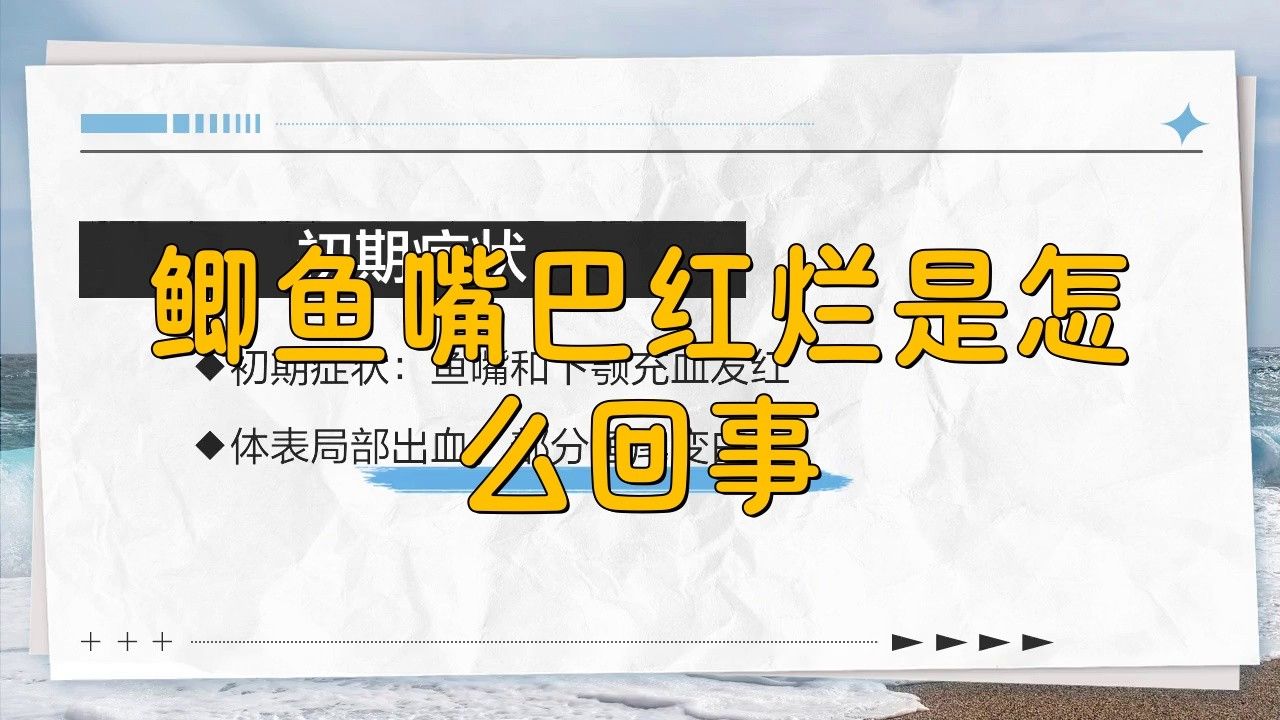 銀龍魚爛嘴怎么辦圖片大全 銀龍魚爛嘴怎么辦圖片大全 龍魚百科 第29張