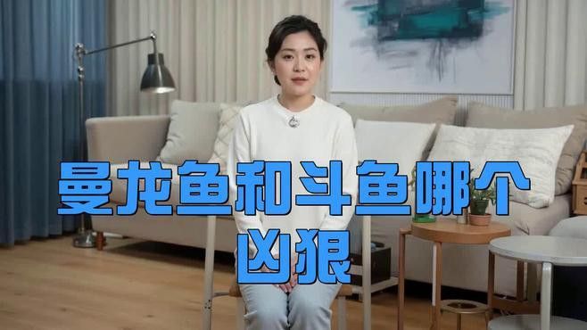 藍(lán)曼龍魚和孔雀魚能混養(yǎng)嗎圖片