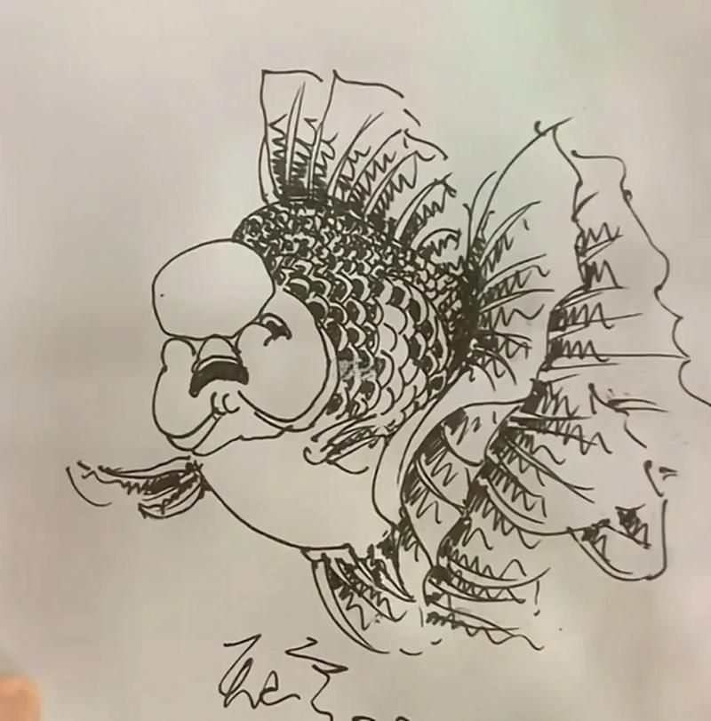 賽級金魚什么意思 龍魚百科 第5張 賽級金魚什么意思 賽級金魚什么意思 龍魚百科 第5張