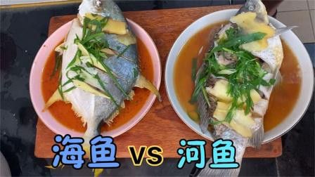 兩種魚的口感有何不同？