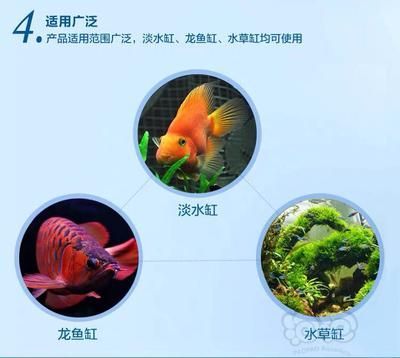 龍魚缸如何除藻效果好（龍魚缸如何除藻？）