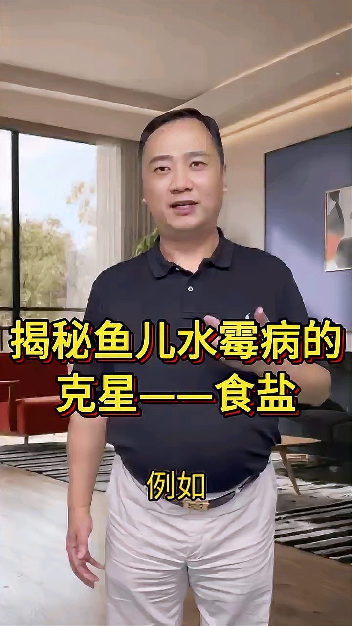 藍(lán)帆五間魚脫變最怕三個(gè)東西 龍魚百科 第2張 藍(lán)帆五間魚脫變最怕三個(gè)東西 藍(lán)帆五間魚脫變最怕三個(gè)東西 龍魚百科 第2張