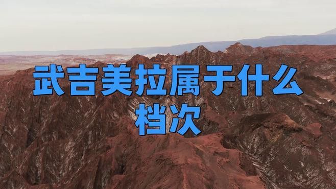 武吉美拉金龍魚怎么樣啊