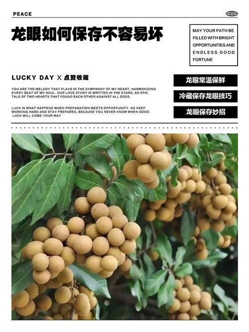 龍眼放久了營養會流失嗎？