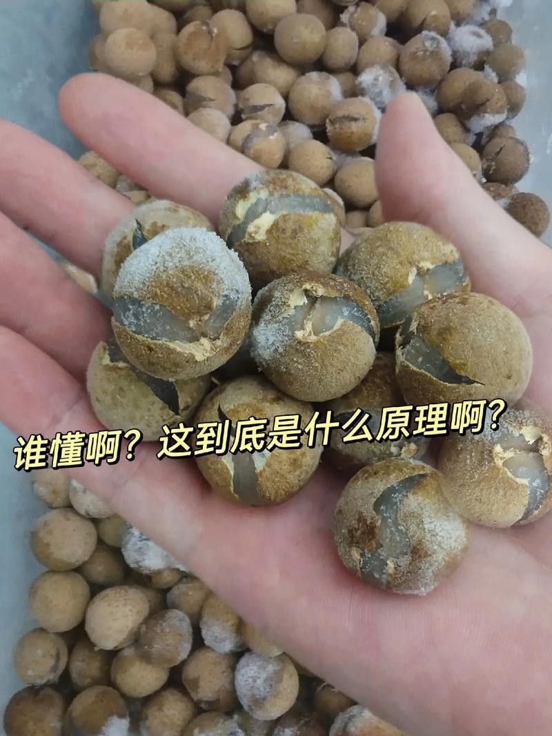 龍眼放久了營養會流失嗎？