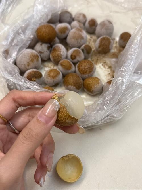 龍眼放久了營養會流失嗎？