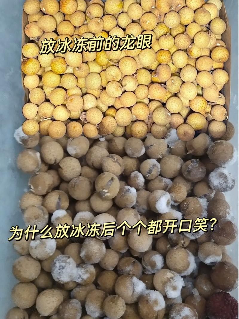龍眼放久了營養會流失嗎？