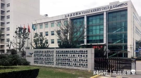 金龍魚外資股東（金龍魚與外資股東之間的合作主要體現在以下幾個方面）