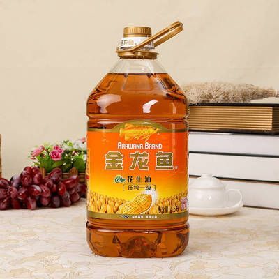 金龍魚外資股東（金龍魚與外資股東之間的合作主要體現在以下幾個方面）
