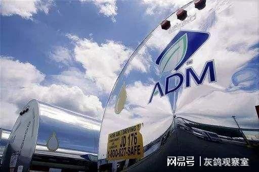 金龍魚外資股東（金龍魚與外資股東之間的合作主要體現在以下幾個方面）