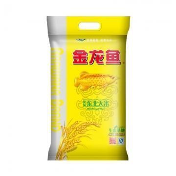 東北小金龍魚是什么魚（360問答金龍魚是什么魚金龍魚是什么魚）