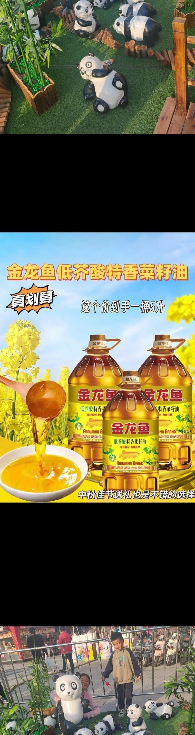 金龍魚品牌圖片