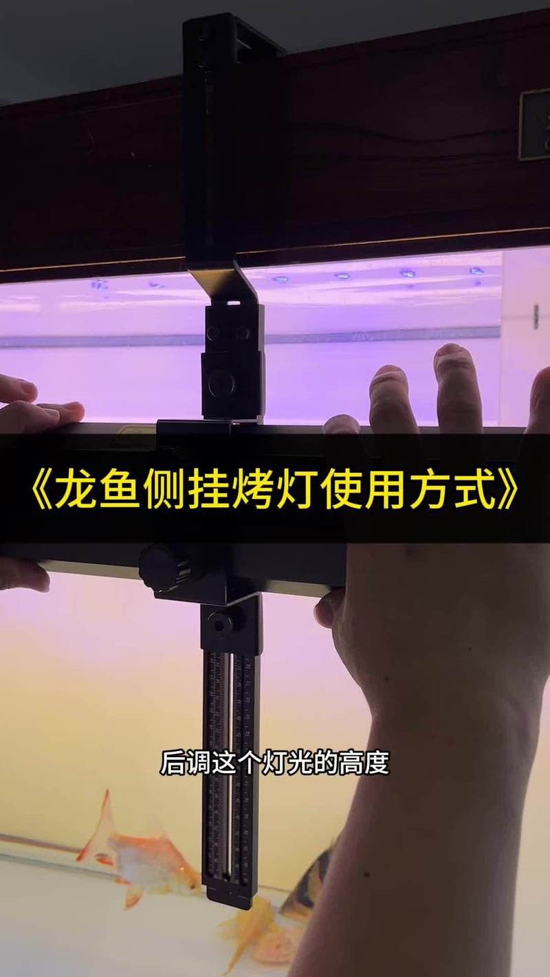 藍(lán)龍魚用什么燈光好一點(diǎn)兒