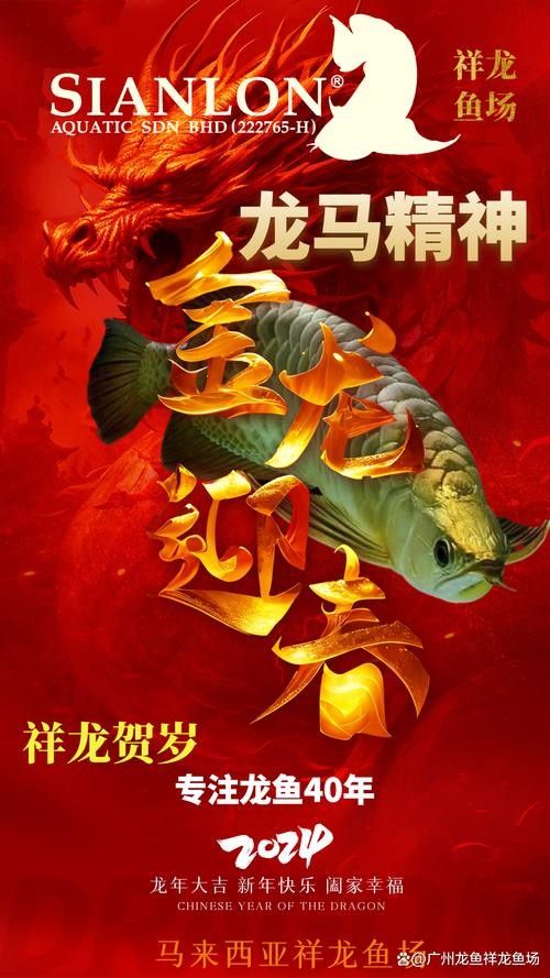 龍魚圖騰圖片欣賞