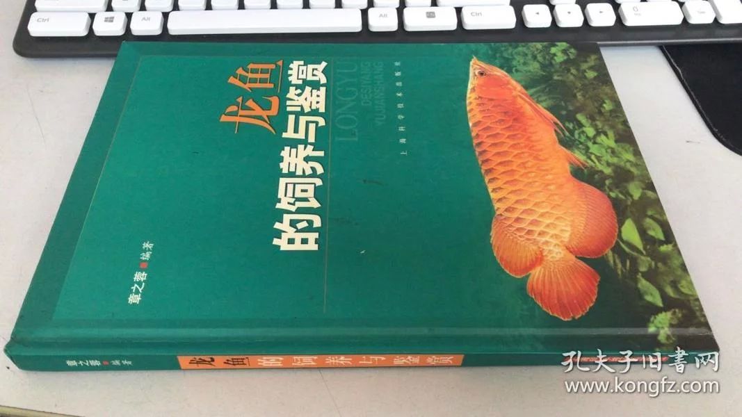 龍魚的飼養(yǎng)與鑒賞作文400字怎么寫：龍魚的飼養(yǎng)與鑒賞 龍魚的飼養(yǎng)與鑒賞作文400字怎么寫：龍魚的飼養(yǎng)與鑒賞 龍魚百科 第1張