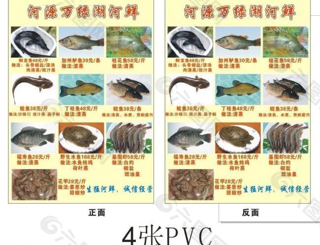 龍魚是海鮮還是河鮮：如何區分淡水魚和海水魚