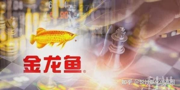 金龍魚金融投資的主要風險有哪些？