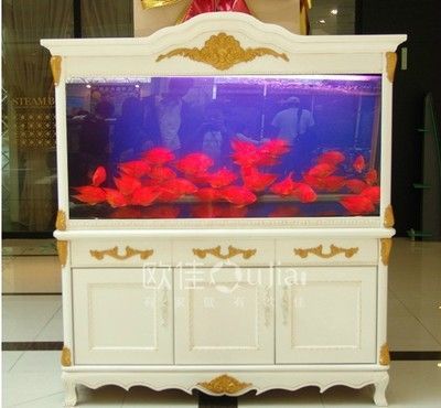 專業龍魚缸：專業的龍魚缸有哪些？