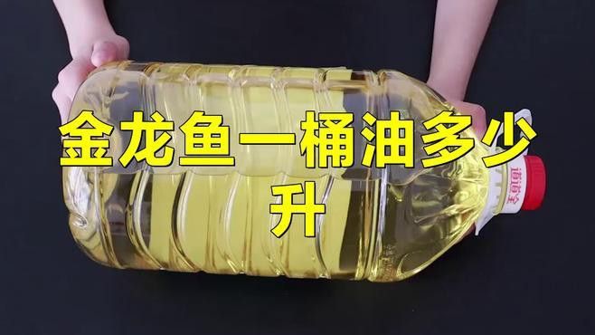 金龍魚玉米油有哪些規格